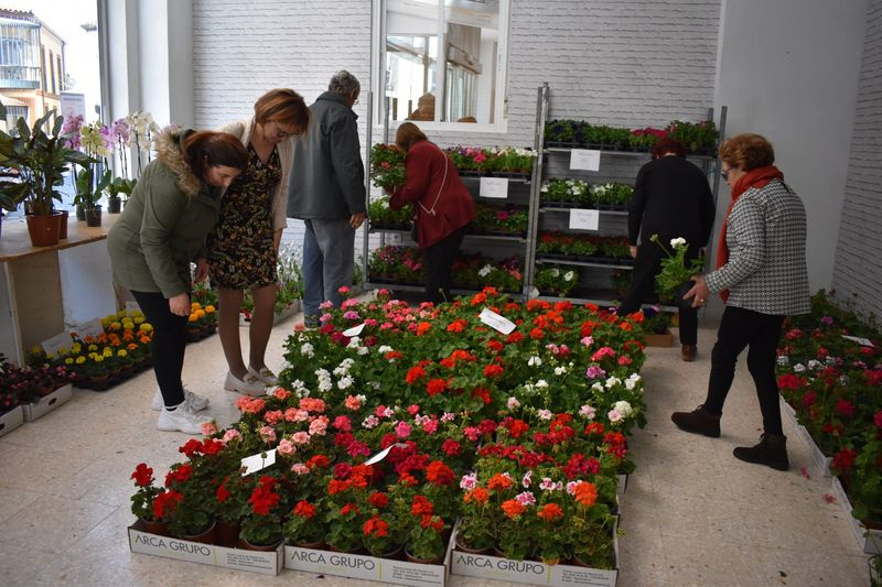 Manos Unidas de Alba de Tormes termina la venta de plantas con éxito