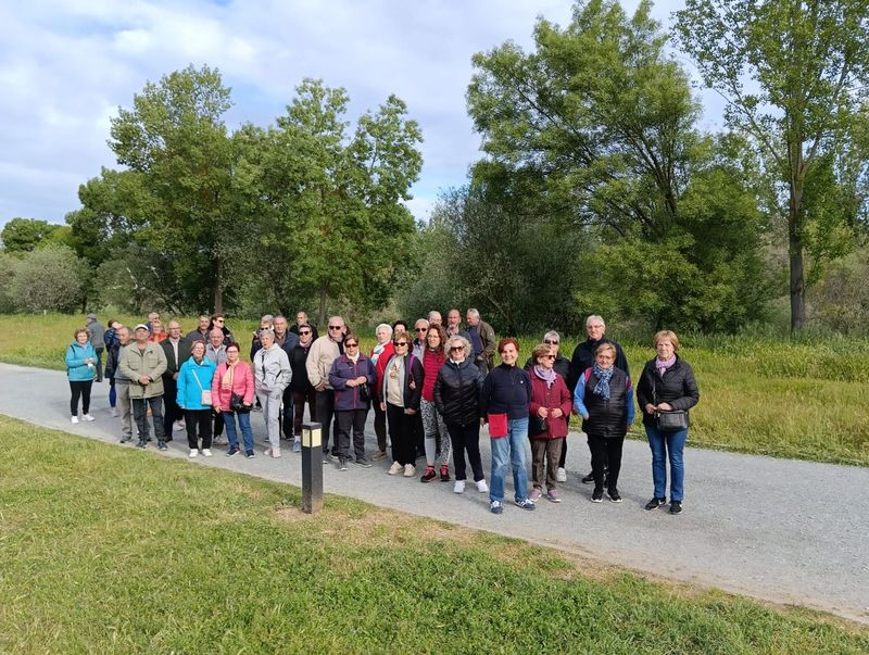 Los mayores de Santa Marta celebran su Primavera Activa