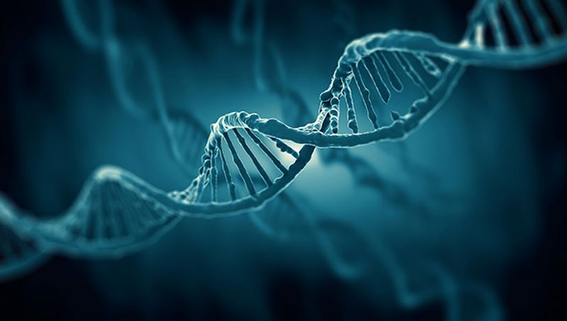 Prestigiosos investigadores de la Universidad de California darán un curso en la USAL