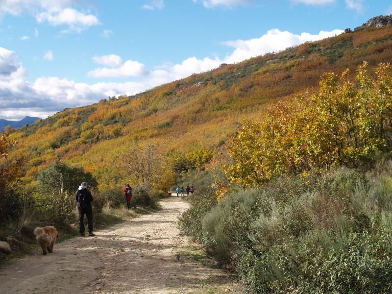 Descubre esta ruta perfecta para el público familiar en la Sierra de Francia