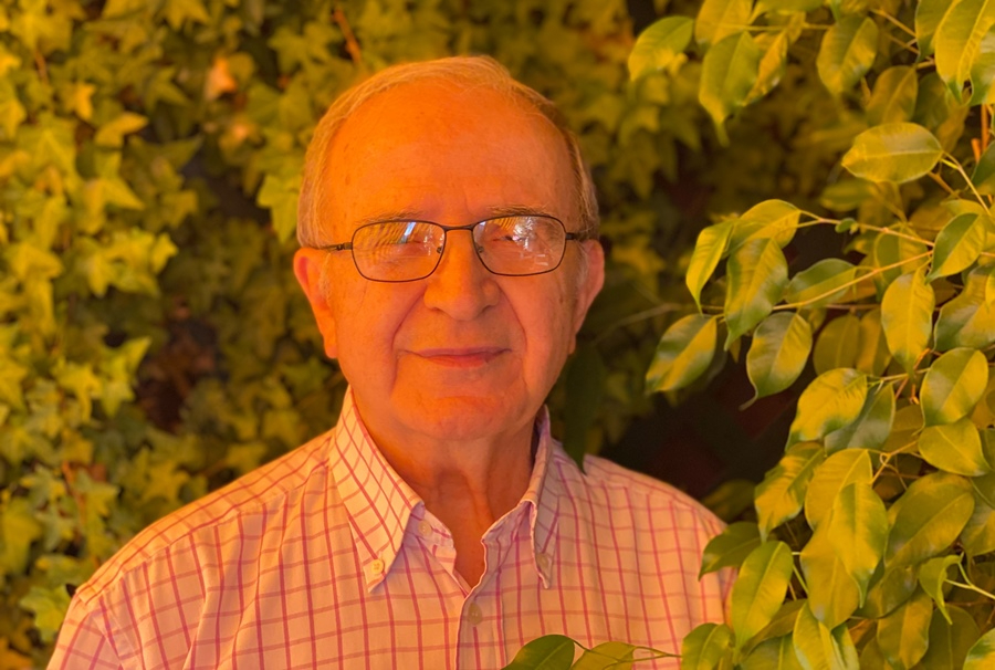 Razón de la sinrazón