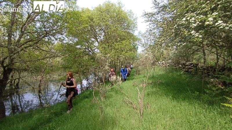 El río Uces muestra su belleza en la XII Marcha al Molino de Lucas de Cabeza del Caballo
