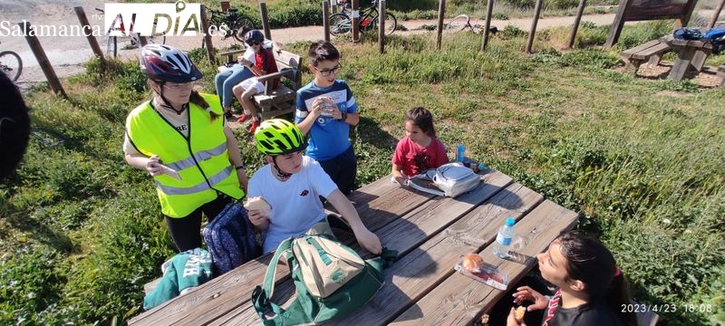 ‘Alba Activa’ propone un variado número de actividades para este mes de abril