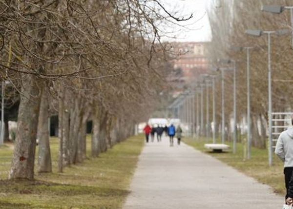 Dos años de cárcel por intentar violar a una joven con discapacidad intelectual en Salamanca