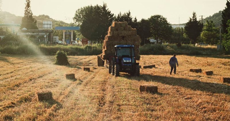 ASAJA Salamanca considera insuficientes las medidas propuestas por el Ministerio