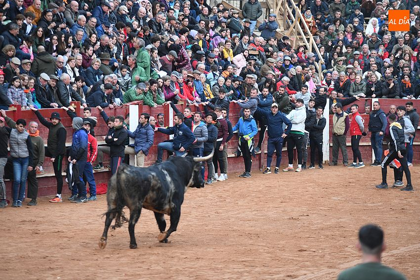 Este martes, Pleno Ordinario y la última sesión de la Comisión organizadora del Carnaval 2024