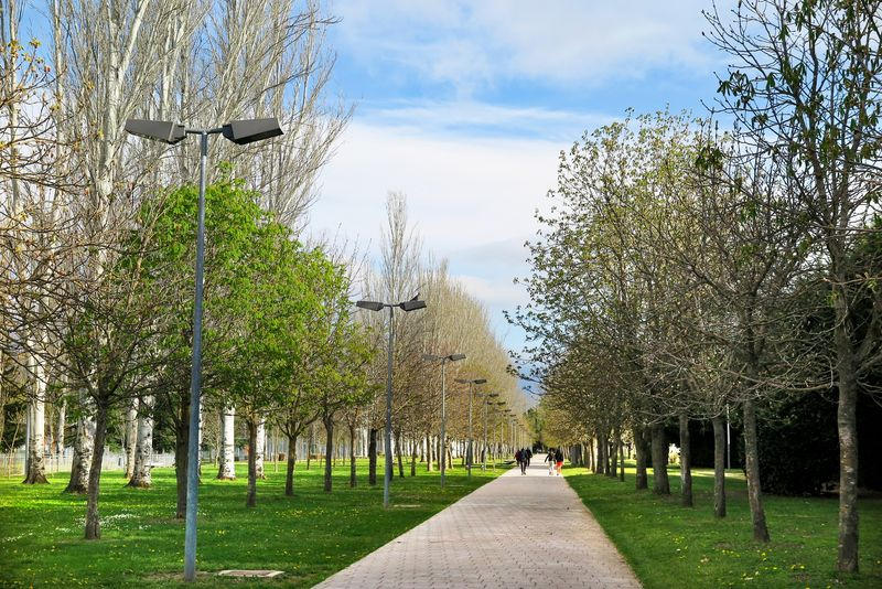 El sitio de mi recreo