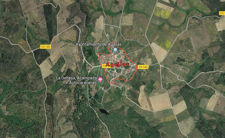 Agallas saca a subasta un aprovechamiento de ramas de brezo