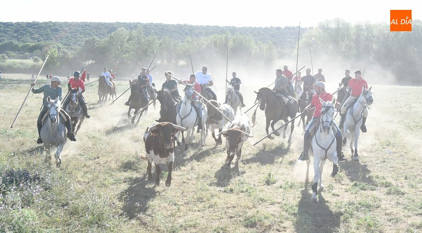 Águeda ya tiene programa para sus fiestas de San Isidro
