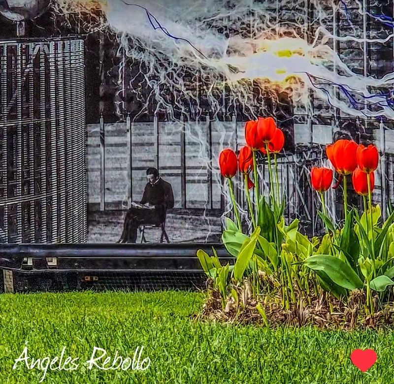 Tesla y su inspiración 