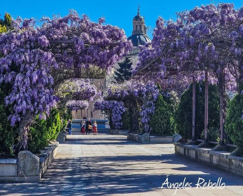 ¡El mes de las flores! 