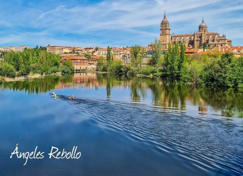 Estela que hipnotiza