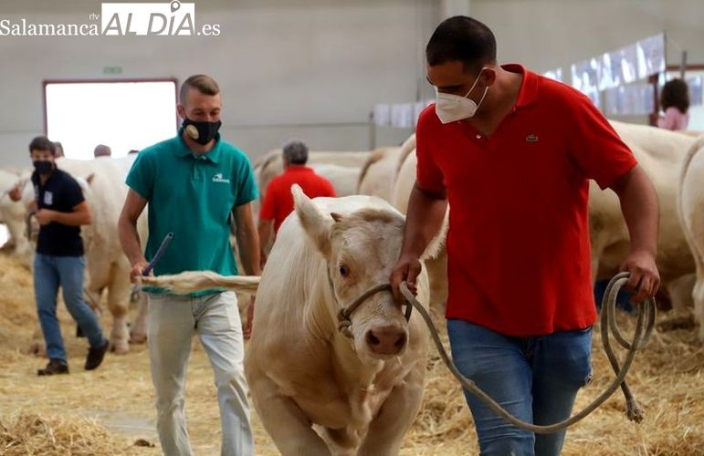 Solicitan que se modifique la ley para que un joven pueda incorporarse a la actividad agraria