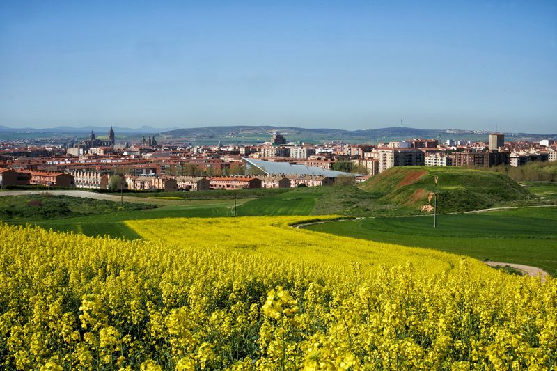 Tras los límites de la urbe 