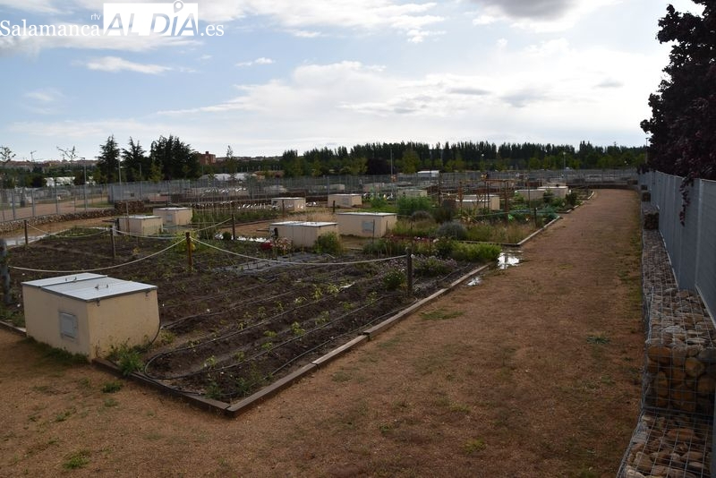 El PSOE exige la constitución de los órganos de participación social de los Huertos Urbanos de Salamanca