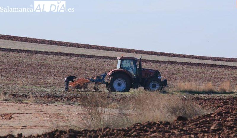 Denuncian el olvido a Salamanca por parte de la Junta en la resolución de la PAC
