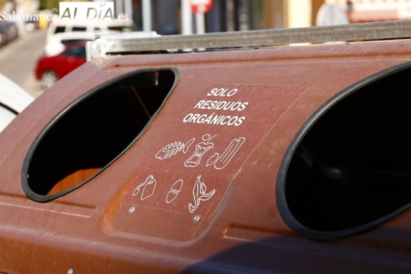 Tú puedes hacer el planeta más sostenible