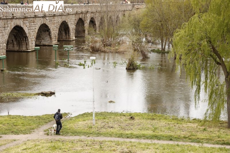 El río Tormes, con más agua, días después de la borrasca Nelson