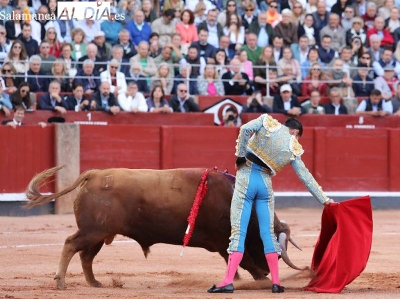 ACARTE, en contra del nuevo reglamento de espectáculos taurinos de CyL