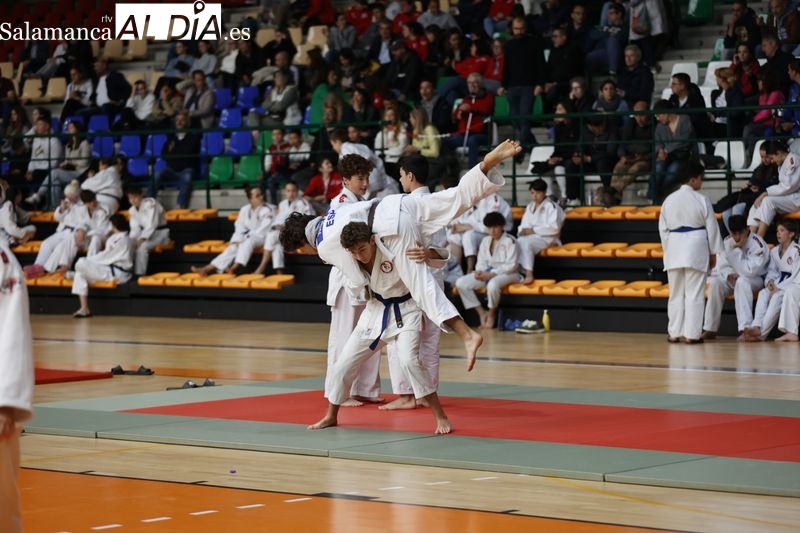 Carbajosa acoge de buen grado el Campeonato Autonómico de Katas