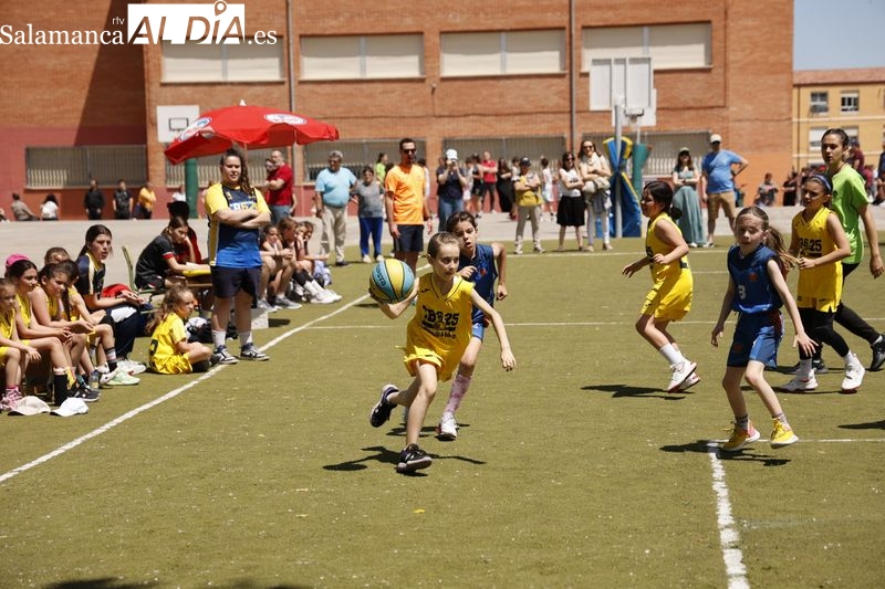 Más de 2.000 jugadores de diferentes ciudades se citan en el XVIII Torneo Internacional de Baloncesto Ciudad de Santa Marta