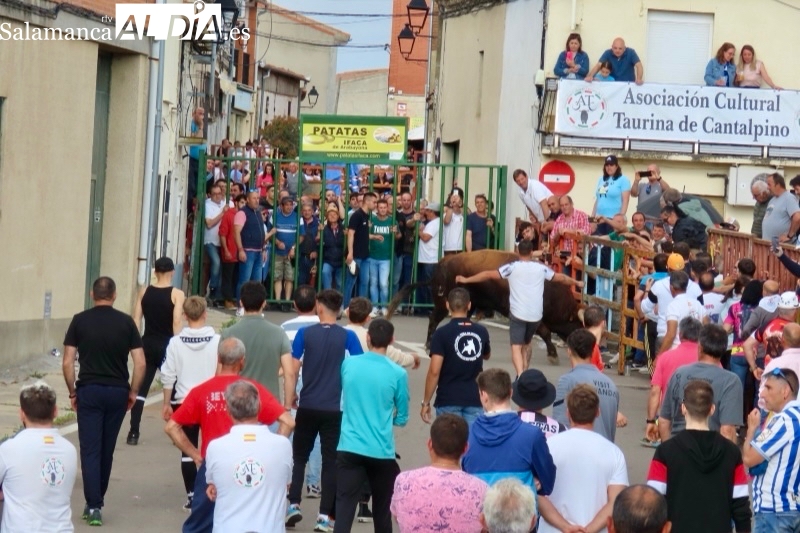 Cantalpino, abarrotado de aficionados y público para vivir el VII Toro de San Isidro