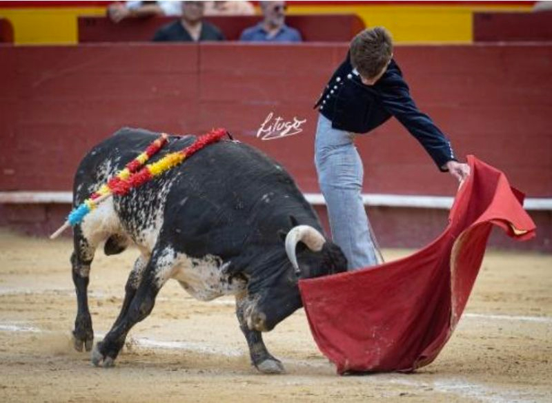 El Club Cocherito de Bilbao celebrará en Rollanejo un nuevo Certamen Taurino de apoyo a jóvenes novilleros sin caballos