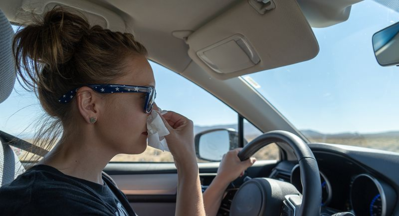Los consejos de la DGT para sobrevivir a la alergia al volante
