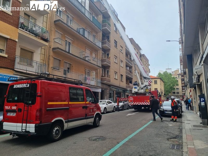 Un enjambre de abejas en la calle Velázquez moviliza a los bomberos 