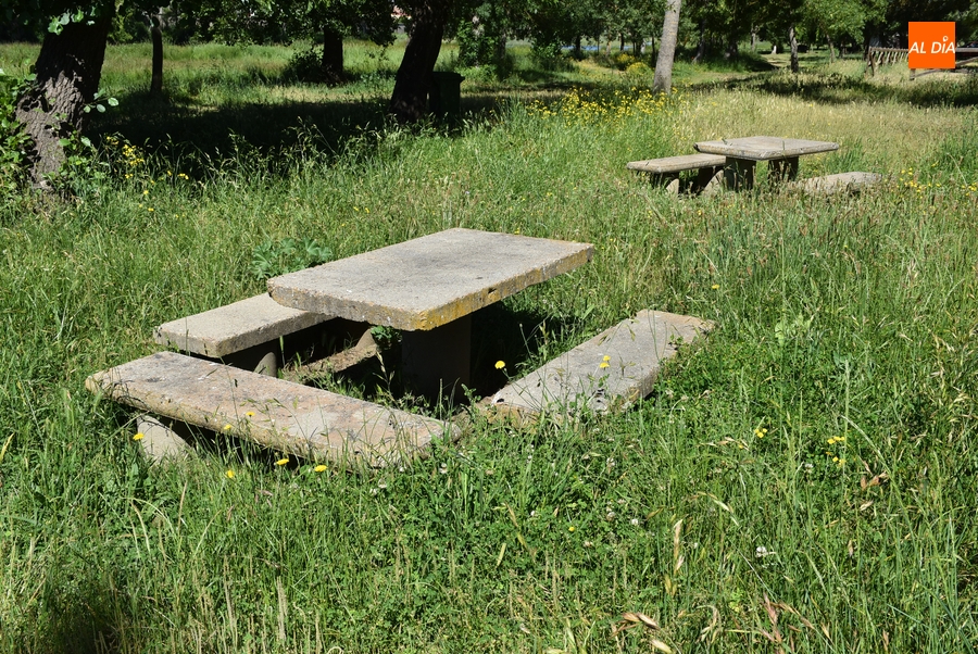 Nuevas quejas por la hierba alta junto a La Pesquera y en la cuesta de las Emes