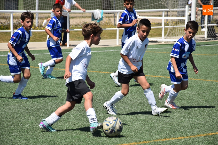 #M [11-12 MAY] Cómodas victorias para despedir la liga del Alevín B y el Benjamín del Ciudad Rodrigo