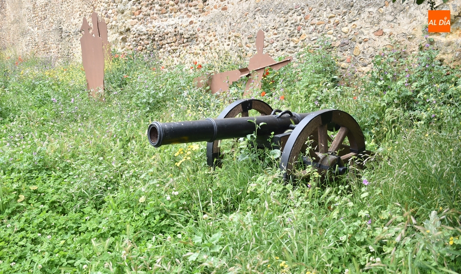 El PSOE resalta que el PP sucumbe a la hora de controlar la vegetación cuando era lo que más criticaba