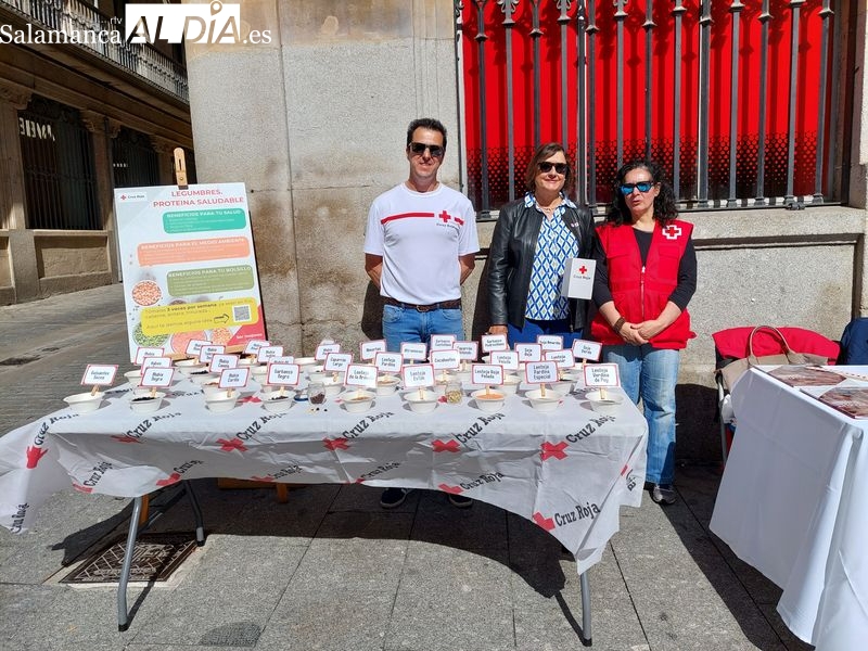 Buen tiempo y solidaridad para celebrar en Salamanca el Día de la Banderita