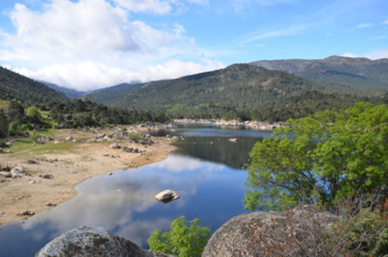 La colonia más numerosa de buitres negros de Europa, a menos de dos horas de Salamanca