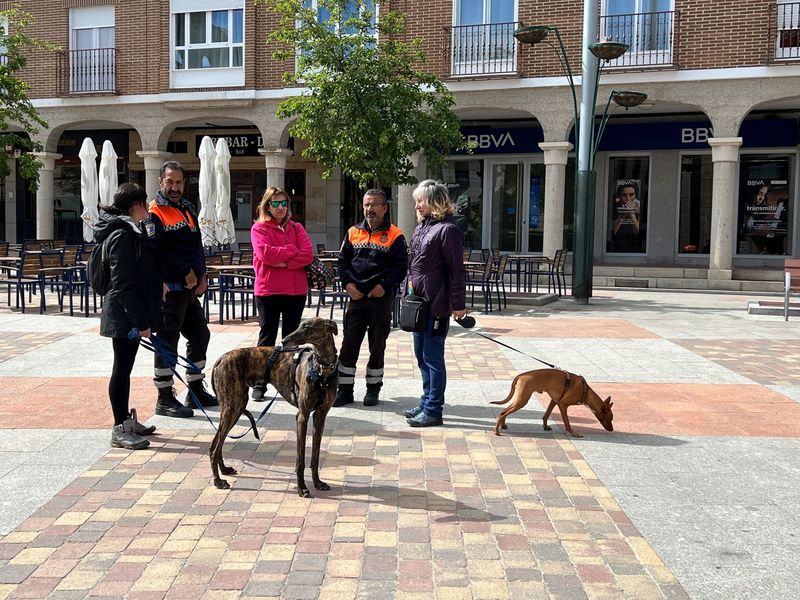 Éxito de Ia Feria de Adopción de Mascotas en Carbajosa