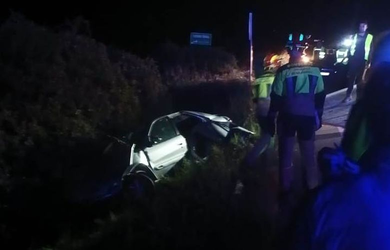 Casi la mitad de los accidentes viales en Salamanca son causados por animales 