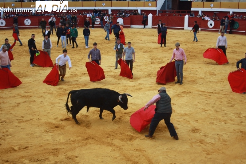 Gran ambiente en una animada capea popular en Macotera