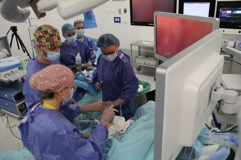 El Hospital de Salamanca forma en una técnica de cirugía pionera en el mundo frente a los cálculos de las vías biliares