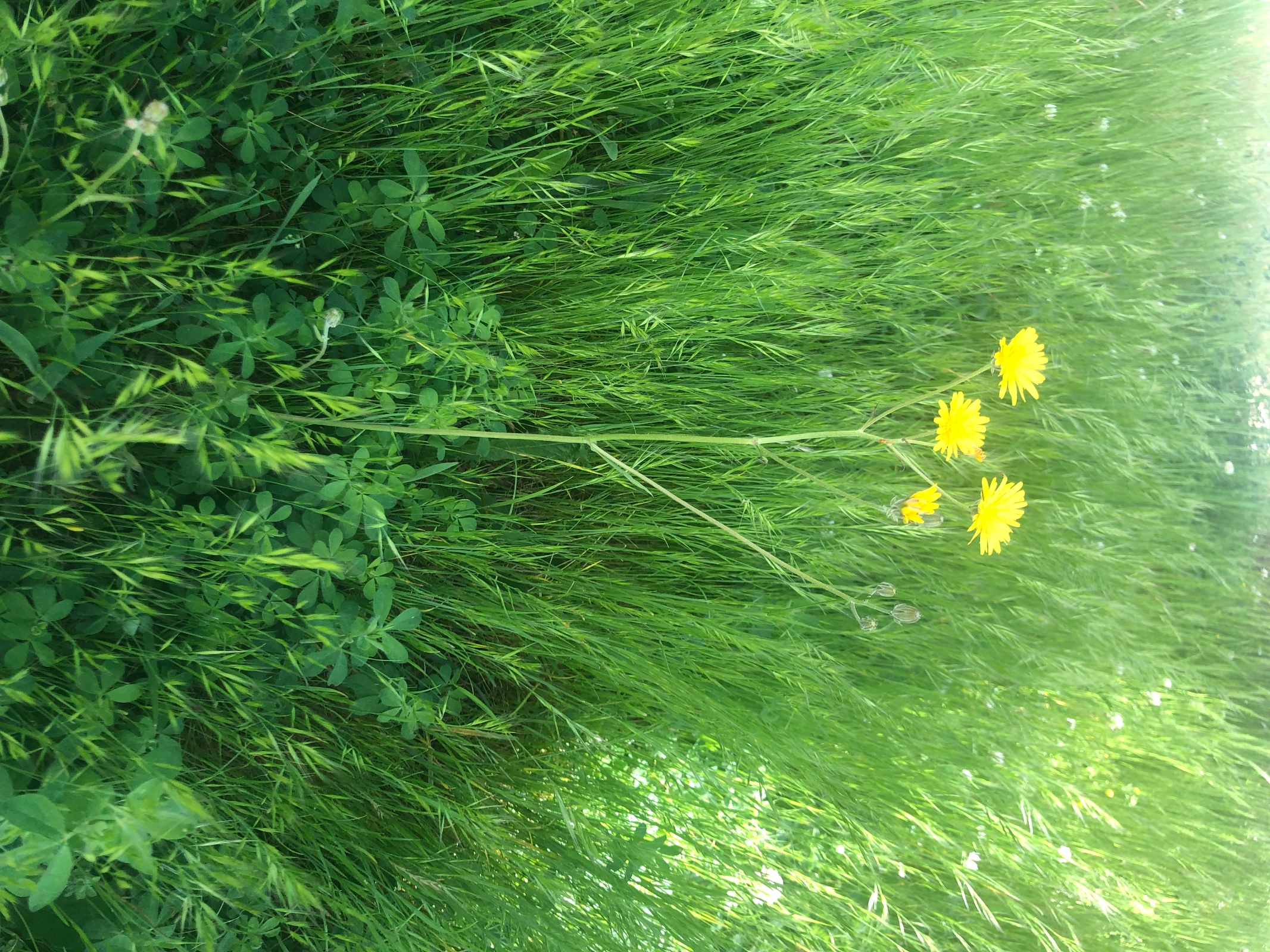 É preciso cumprir a esperança 