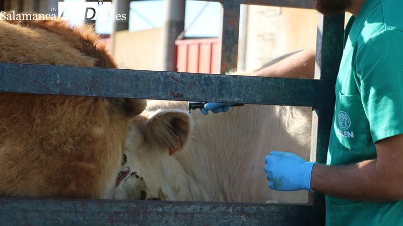 UPA Salamanca valora muy positivamente los compromisos de Planas en el foro por la ganadería extensiva