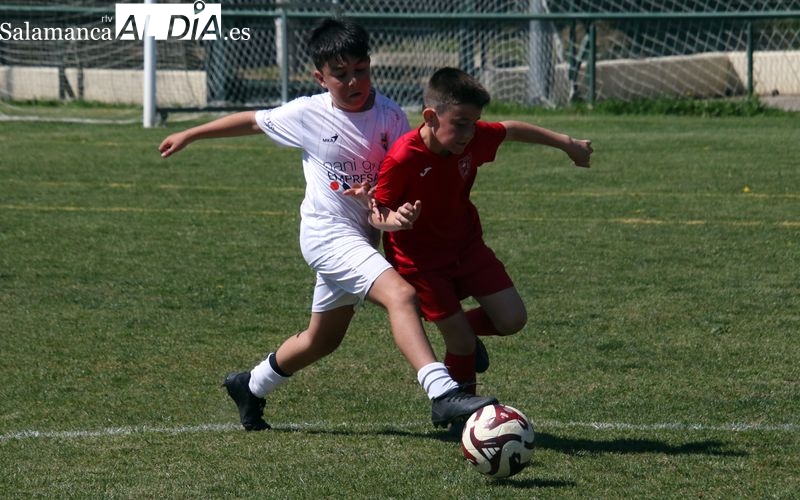 Abiertas las inscripciones para formar parte del Alba de Tormes CF la próxima temporada