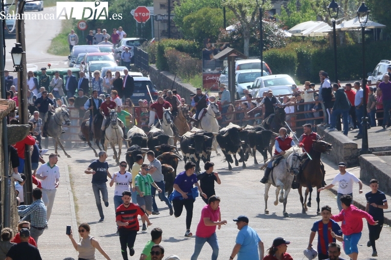 San Felices de los Gallegos rememora con un emocionante encierro a caballo los 172 años desde la Real Sentencia de 1852