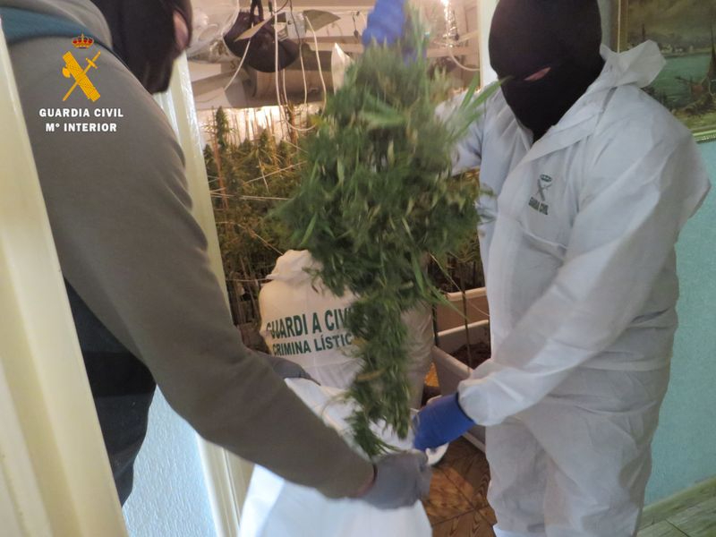 Cuatro detenidos e incautados 50.000 euros y 48 kilos de marihuana tras la gran redada de Ciudad Rodrigo