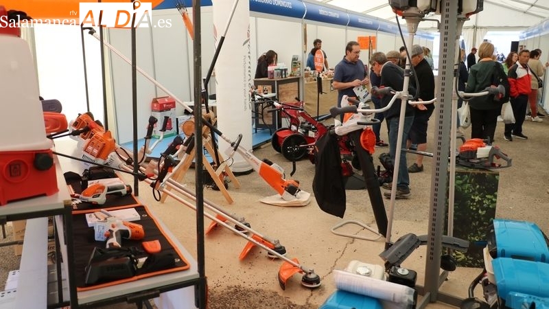 Vilvestre vivirá este sábado una nueva edición de la Feria del Aceite y el Olivar