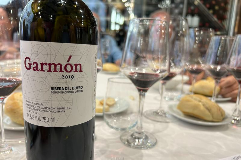 Garmón 2029, calidad a un precio no muy razonable