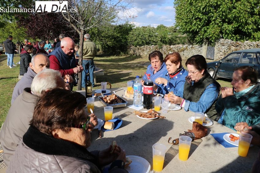 Los vecinos de Bogajo piden buenas cosechas a San Isidro durante la bendición de campos
