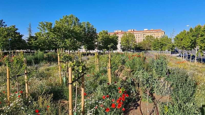 Salamanca ya tiene su primera Isla de Biodiversidad
