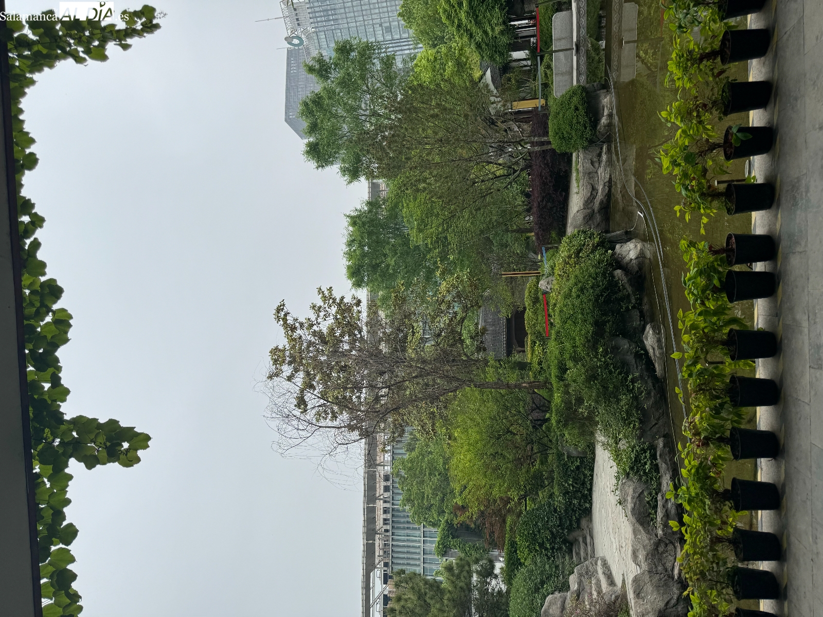 Un ramo de flores en el Día de las Madres con la escritura