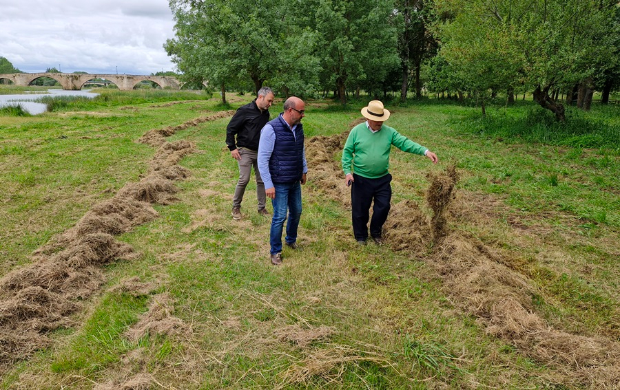 El Equipo de Gobierno dice que la vegetación está mucho más controlada que en la época del tripartito