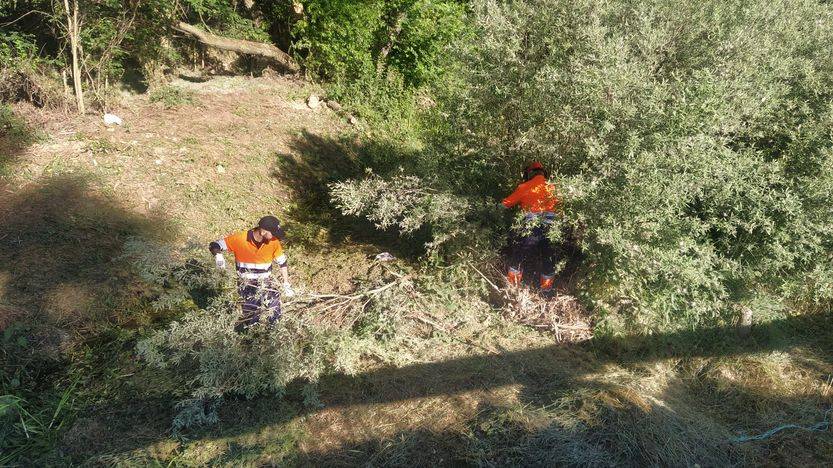 Labores de desbroce y limpieza en diferentes puntos de Alba de Tormes